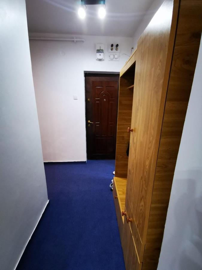 康斯坦察Apartament Vlad公寓 外观 照片